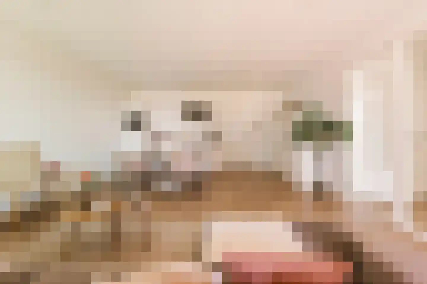 Badhuiskade 71 Amsterdam thumbnail 14