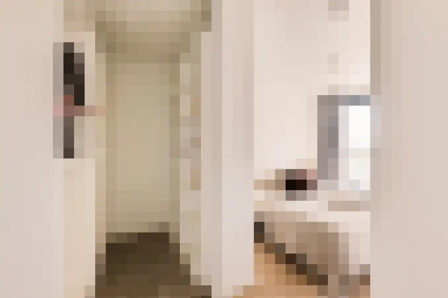 Badhuiskade 71 Amsterdam thumbnail 23