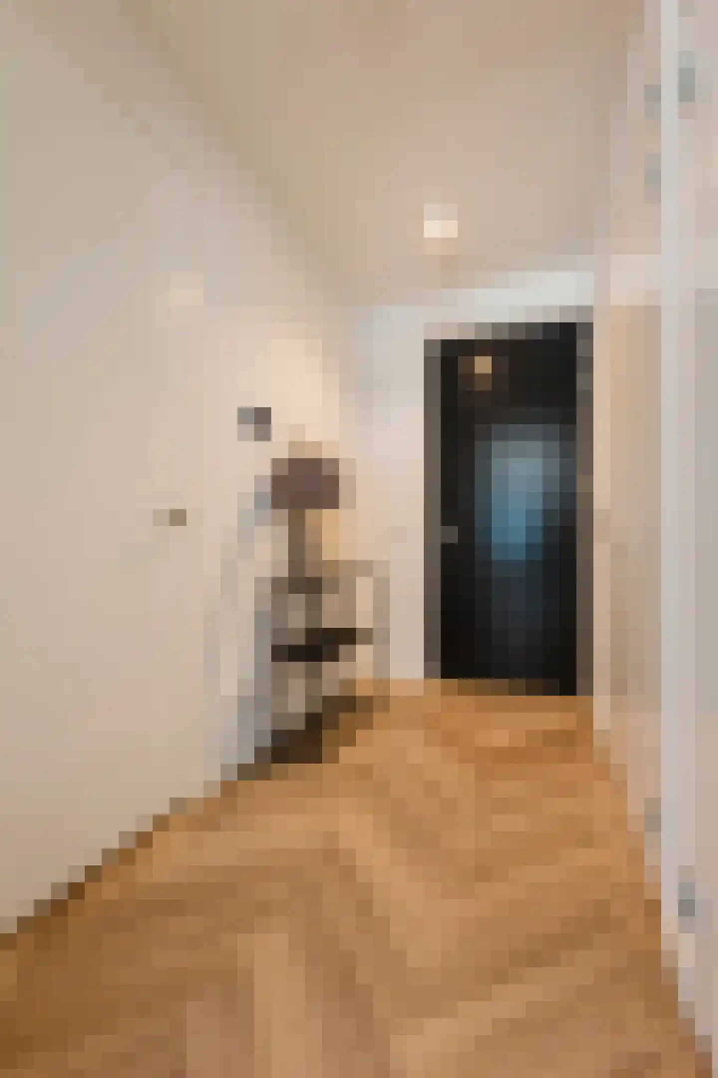 Badhuiskade 71 Amsterdam thumbnail 26