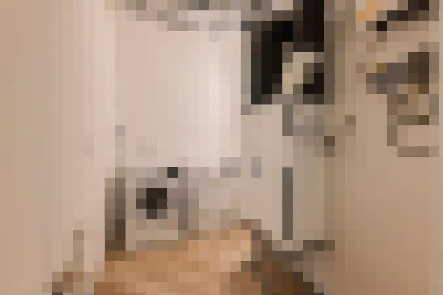 Badhuiskade 71 Amsterdam thumbnail 28