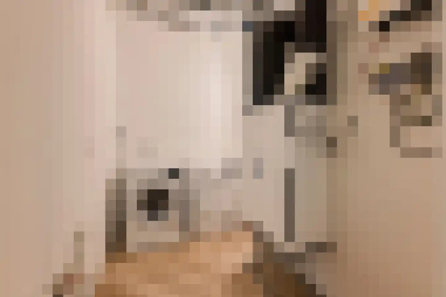Badhuiskade 71 Amsterdam thumbnail 28