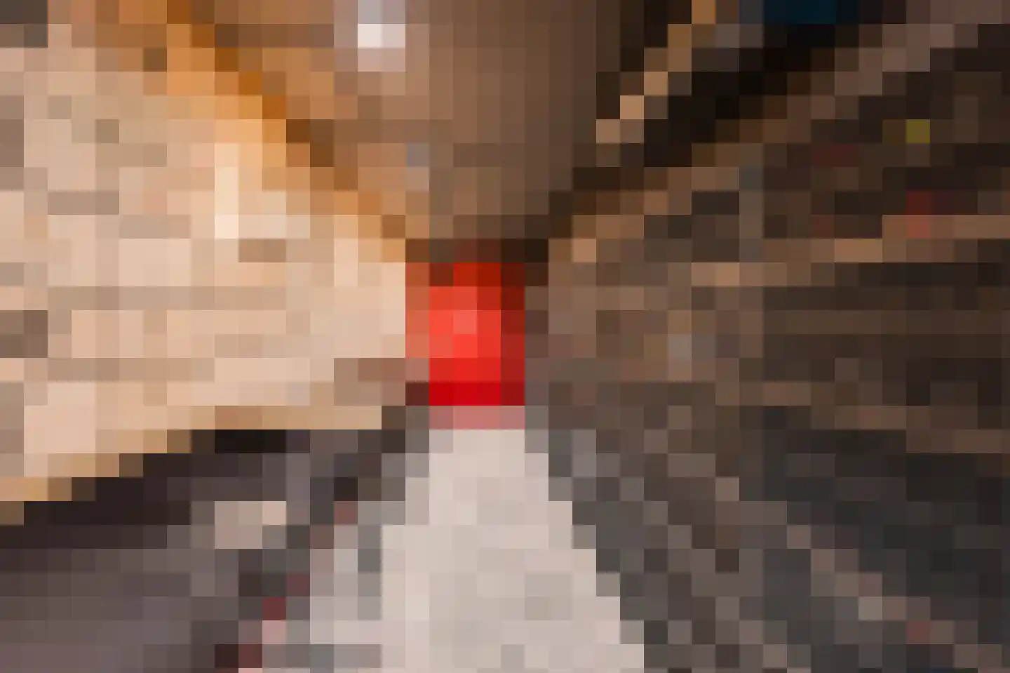 Badhuiskade 71 Amsterdam thumbnail 30