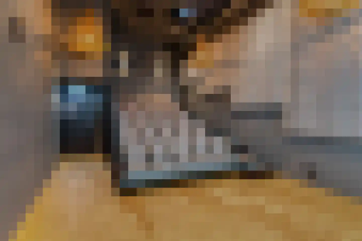 Badhuiskade 71 Amsterdam thumbnail 38