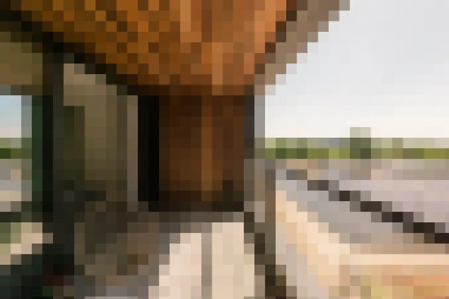 Badhuiskade 71 Amsterdam thumbnail 4