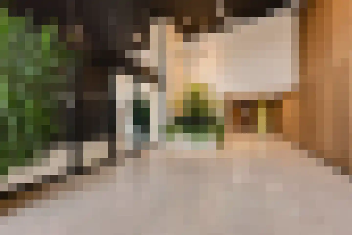 Badhuiskade 71 Amsterdam thumbnail 41