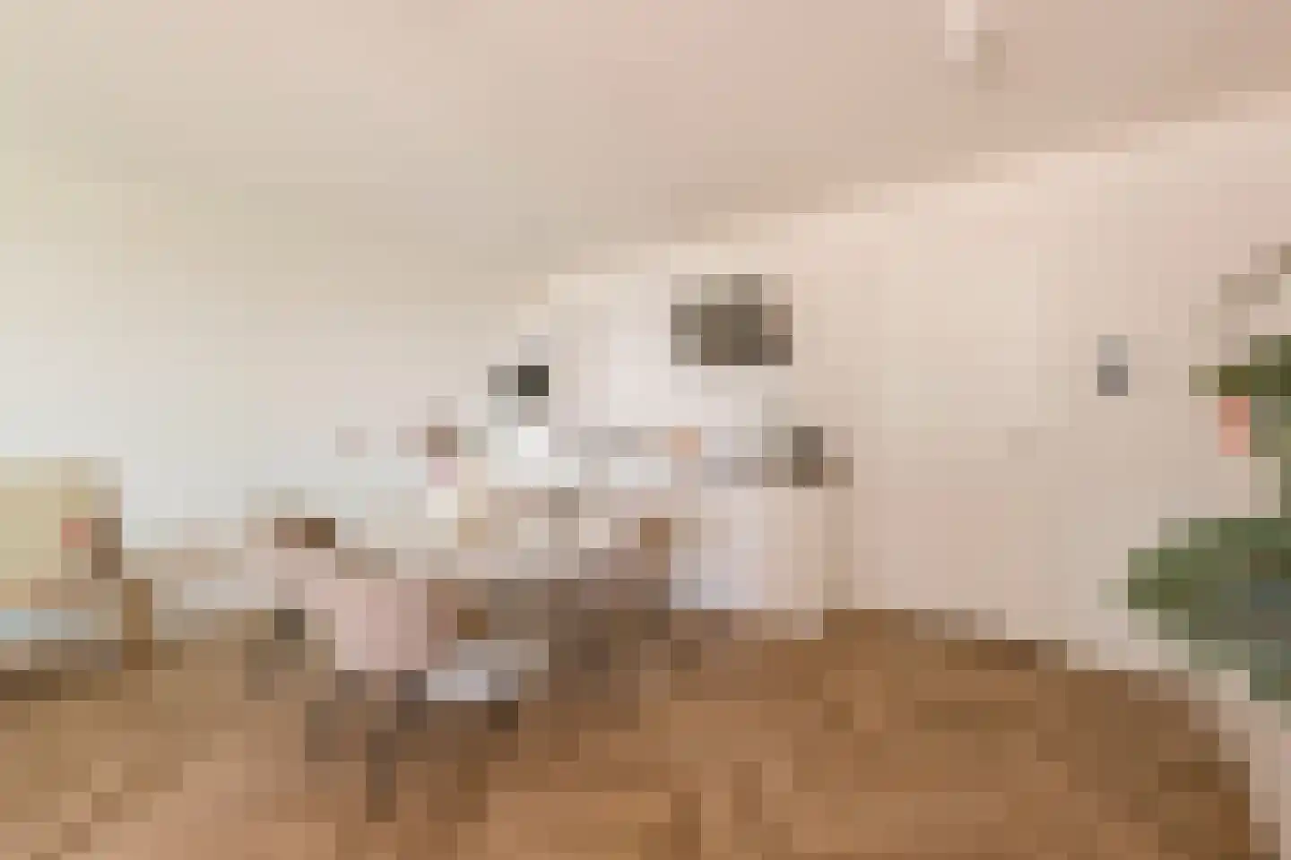 Badhuiskade 71 Amsterdam thumbnail 8