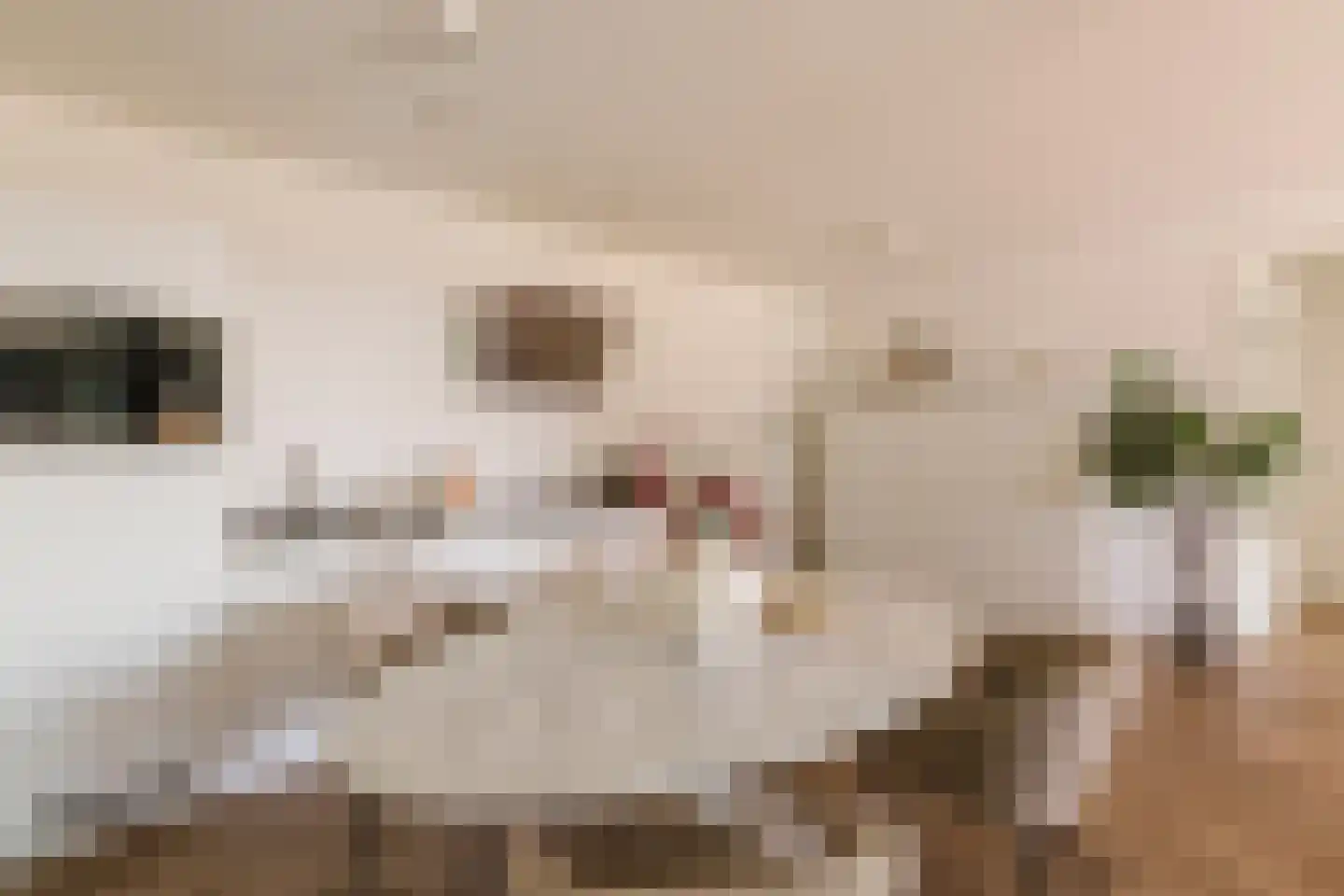 Badhuiskade 71 Amsterdam thumbnail 9