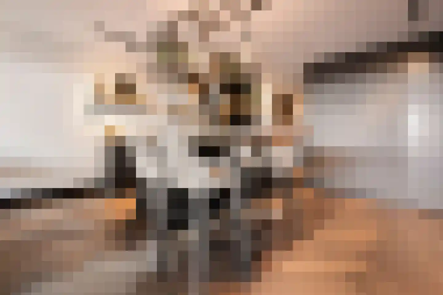 Badhuiskade 91 Amsterdam thumbnail 13