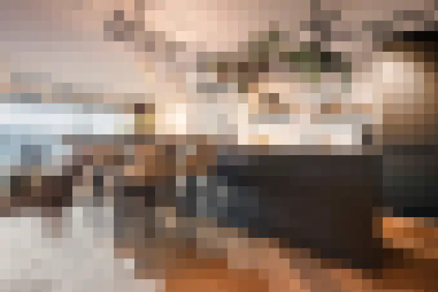 Badhuiskade 91 Amsterdam thumbnail 15