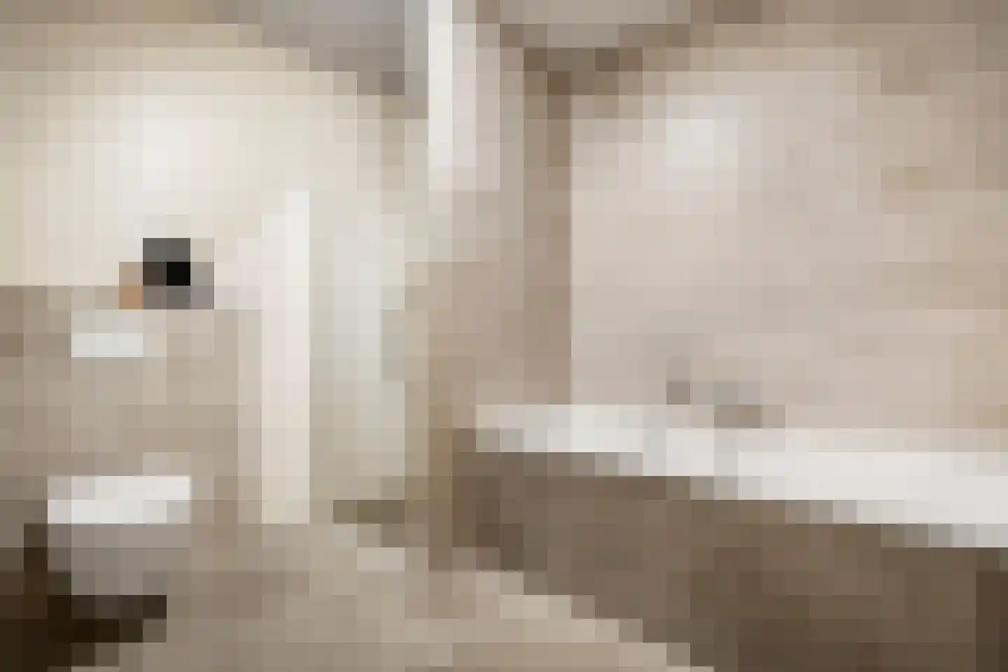 Badhuiskade 91 Amsterdam thumbnail 33