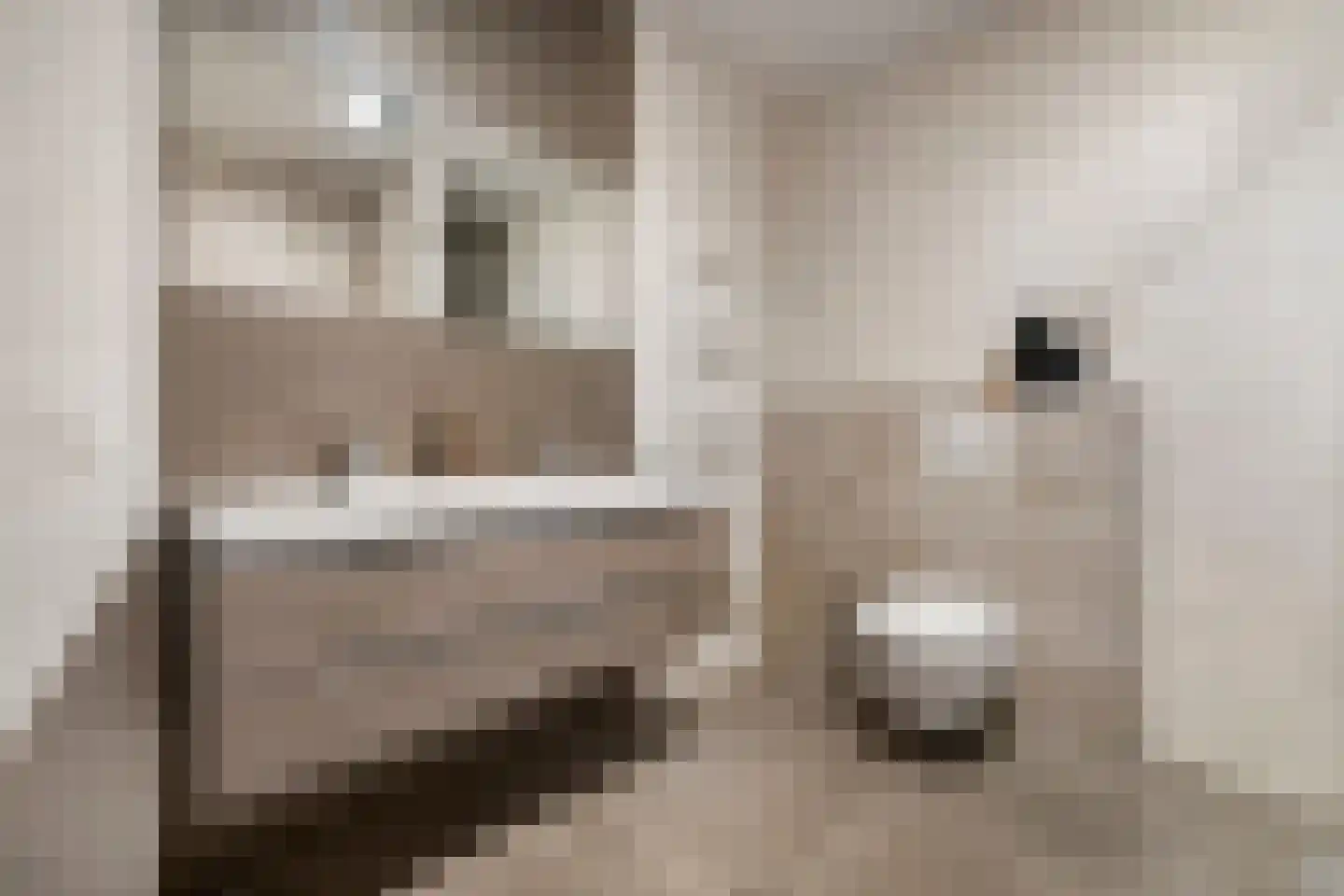 Badhuiskade 91 Amsterdam thumbnail 36