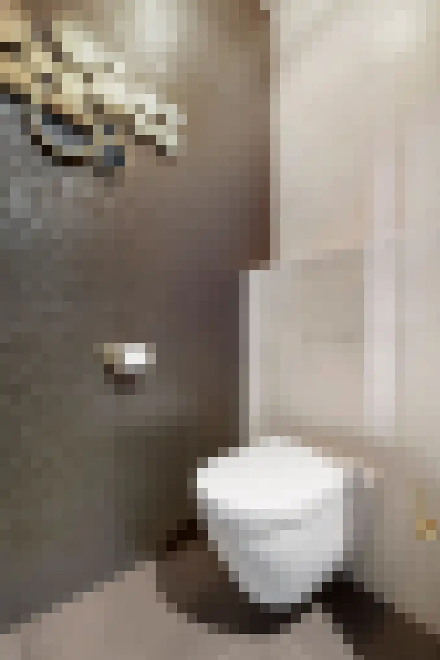 Badhuiskade 91 Amsterdam thumbnail 38