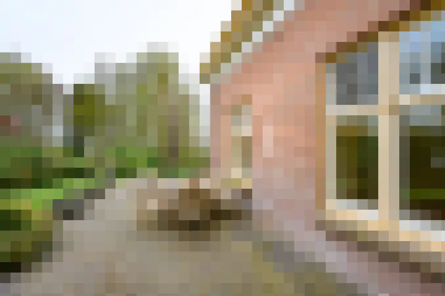 Badhuislaan 11 Laag-Soeren foto 3