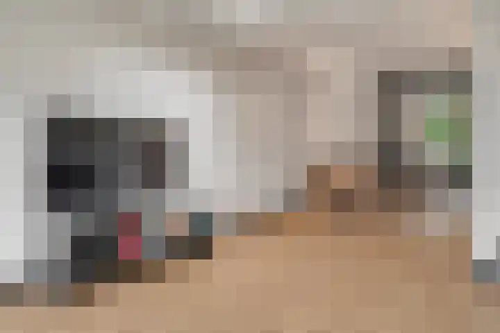 Badhuislaan 14 Bussum thumbnail 11