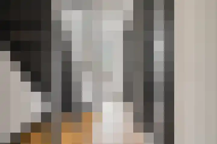 Badhuislaan 14 Bussum thumbnail 18