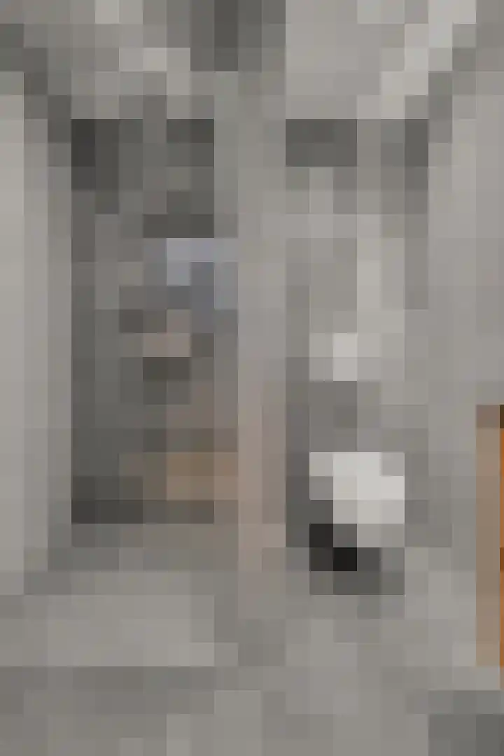 Badhuislaan 14 Bussum thumbnail 24