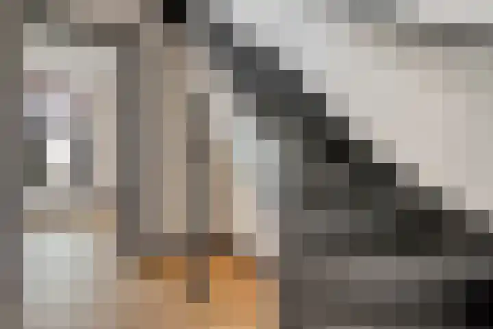 Badhuislaan 14 Bussum thumbnail 26