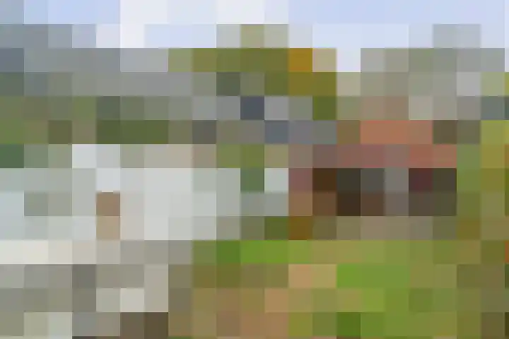 Badhuislaan 14 Bussum thumbnail 30