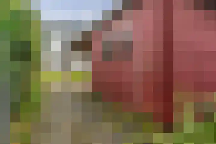 Badhuislaan 14 Bussum thumbnail 32