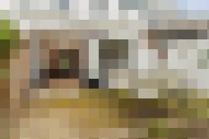 Badhuislaan 14 Bussum thumbnail 35