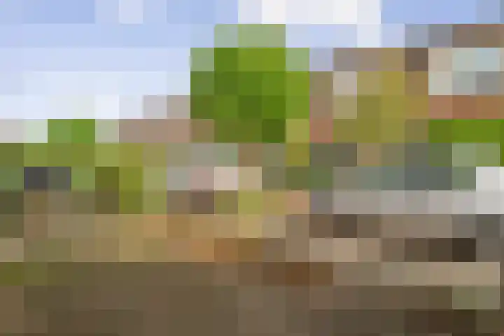 Badhuislaan 14 Bussum thumbnail 36