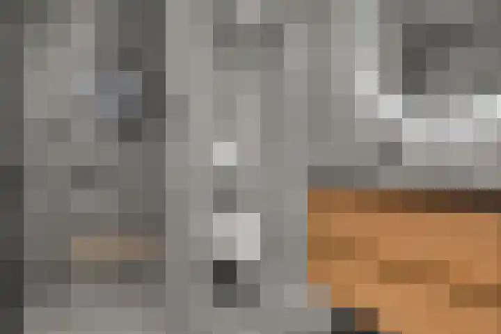 Badhuislaan 14 Bussum thumbnail 4