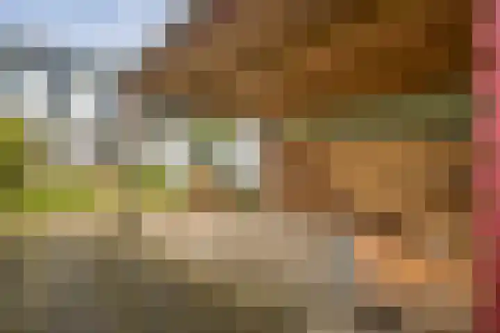 Badhuislaan 14 Bussum thumbnail 5
