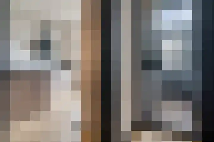 Badhuislaan 14 Bussum thumbnail 7