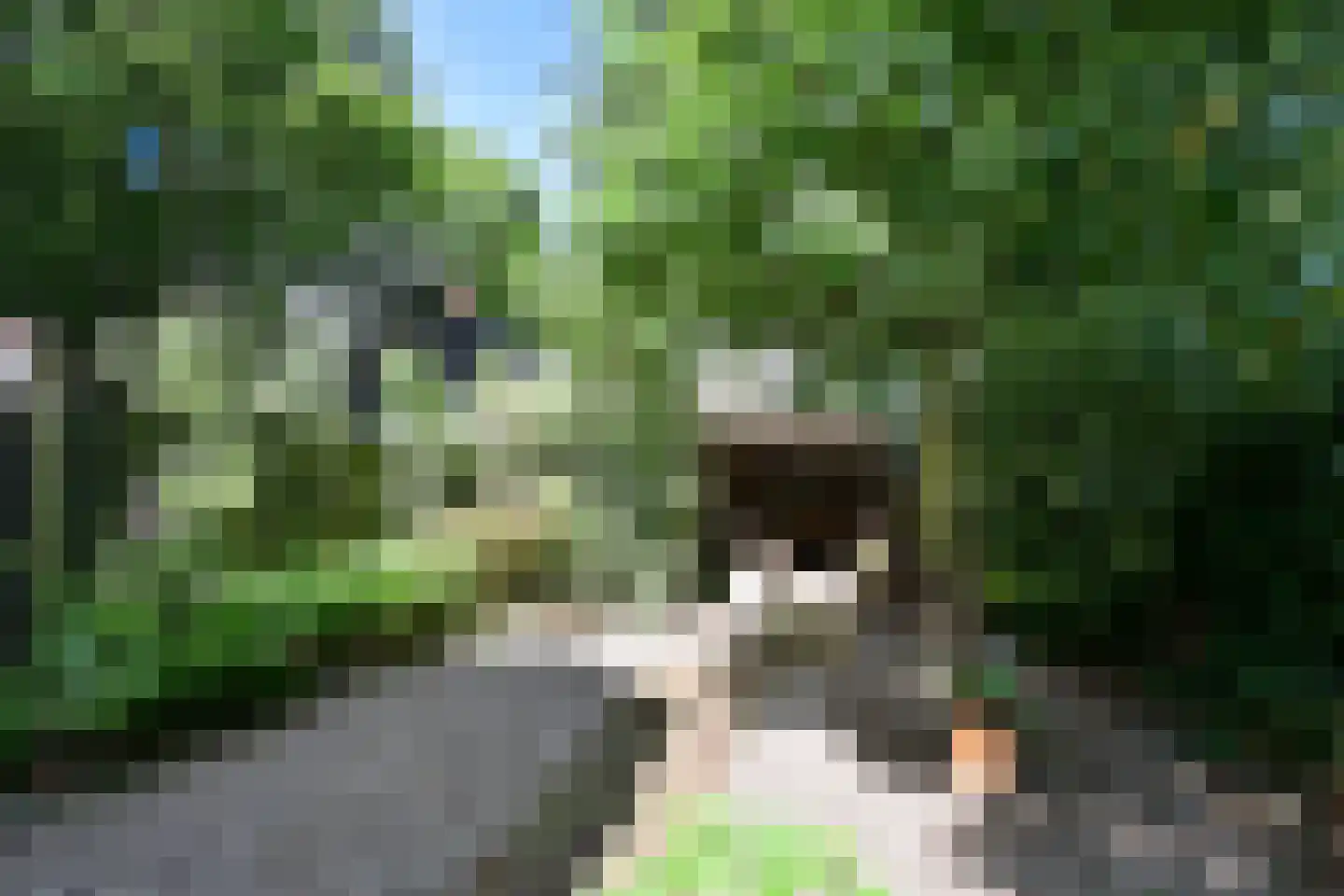Badhuislaan 14 Hilversum thumbnail 19
