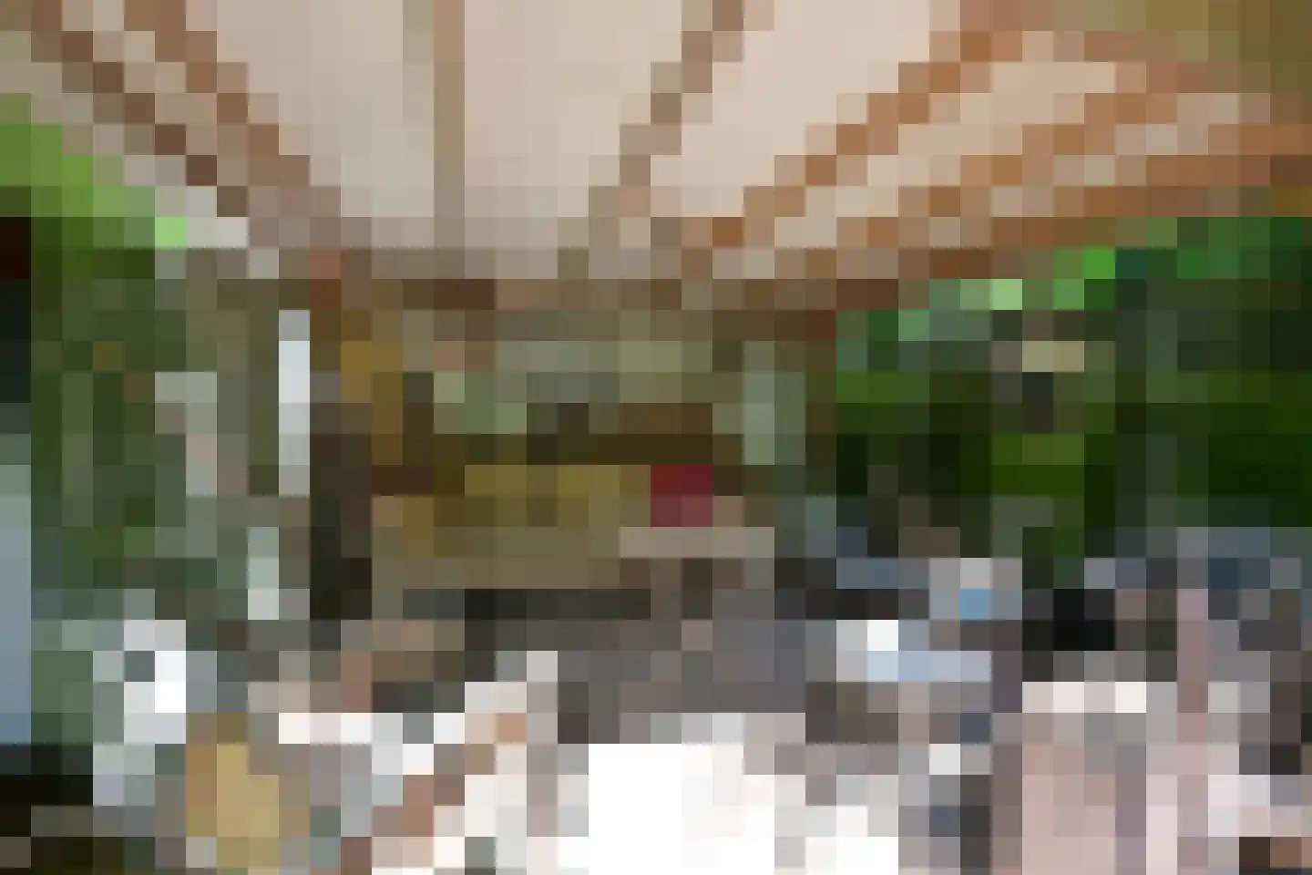 Badhuislaan 14 Hilversum thumbnail 20