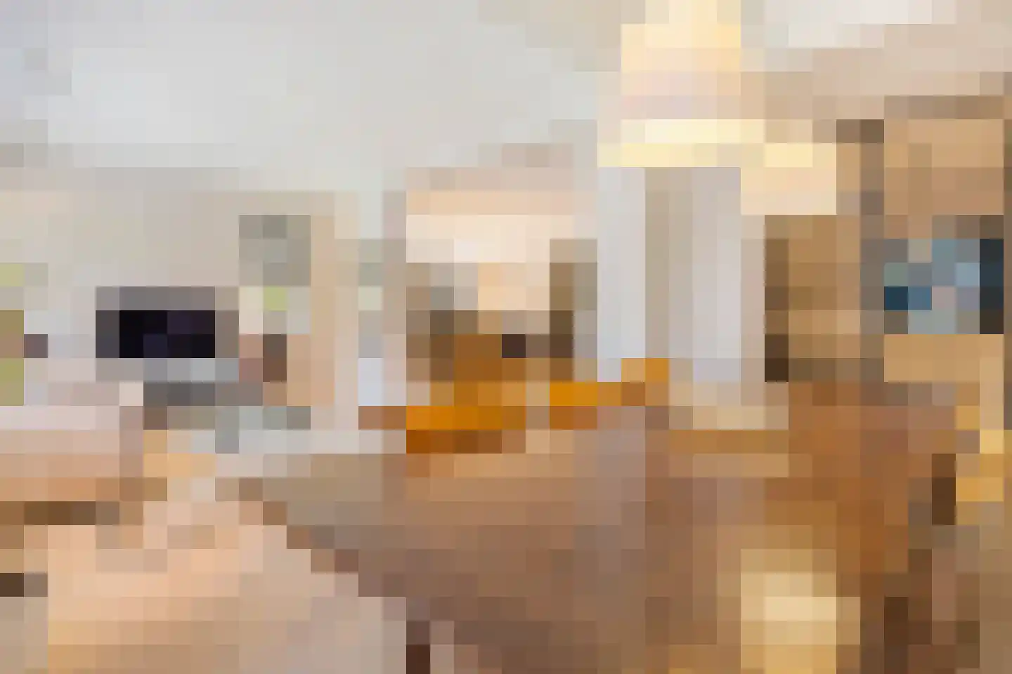 Badhuislaan 15 A Hilversum thumbnail 19