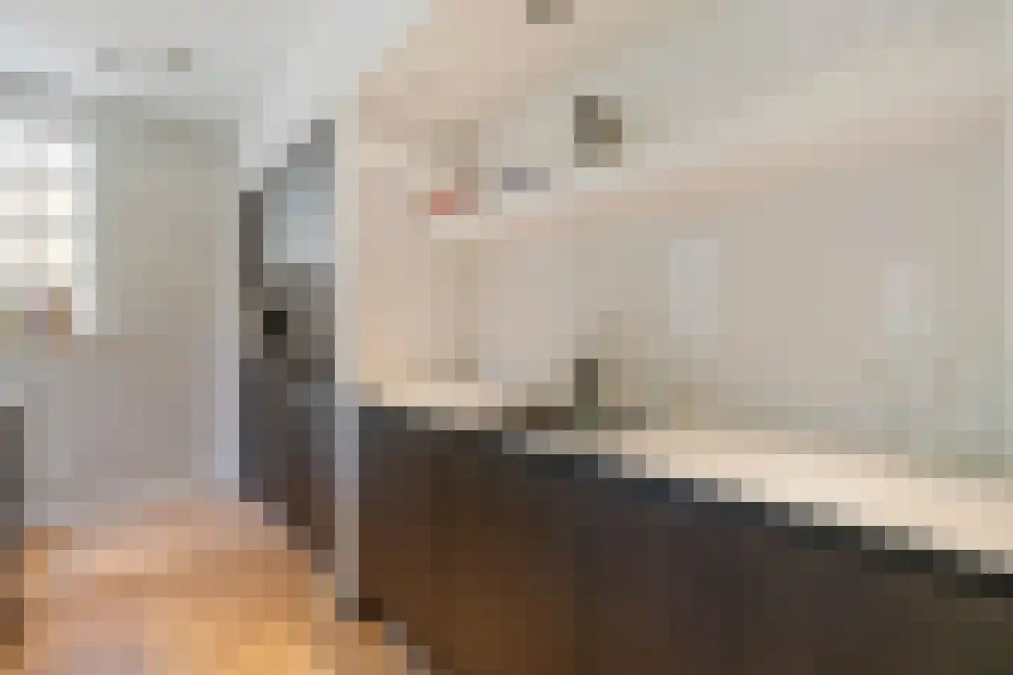 Badhuislaan 15 A Hilversum thumbnail 22