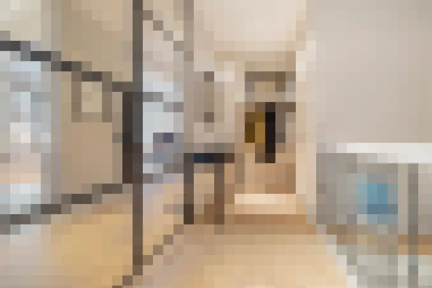 Badhuislaan 15 A Hilversum thumbnail 31
