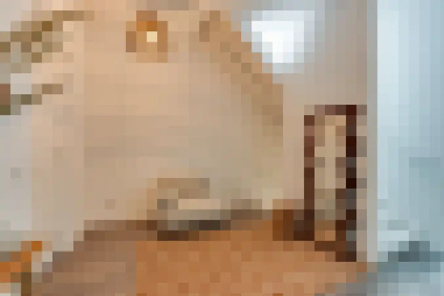 Badhuislaan 15 H Hilversum thumbnail 8