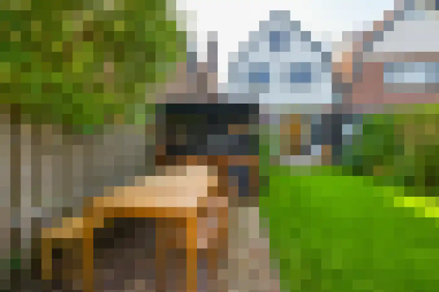 Badhuislaan 18 Krommenie thumbnail 15