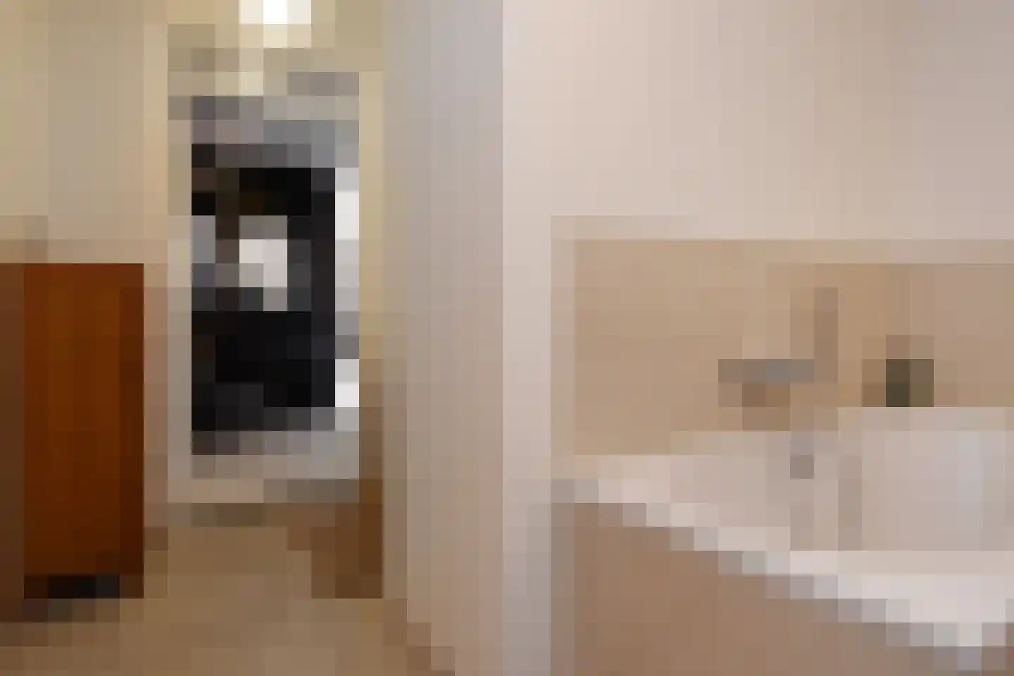 Badhuislaan 21 Voorburg thumbnail 53