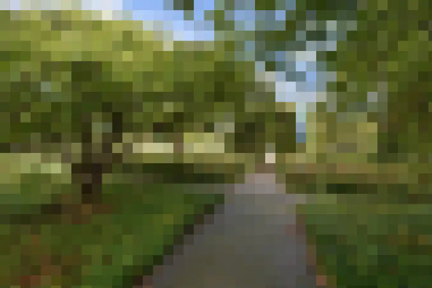 Badhuislaan 21 Voorburg thumbnail 59