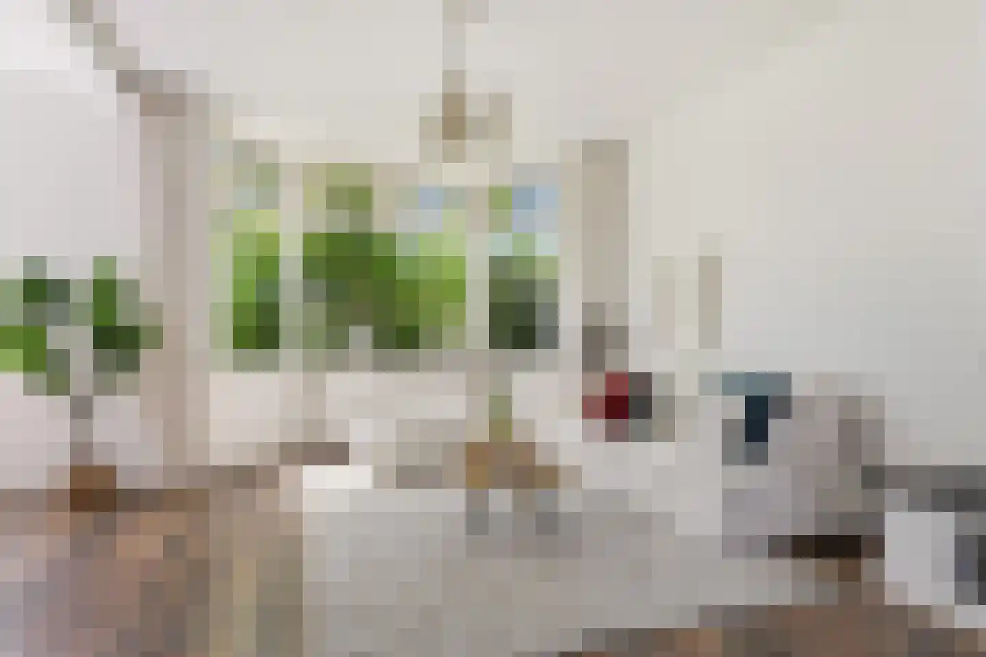 Badhuislaan 26 Krommenie foto 2