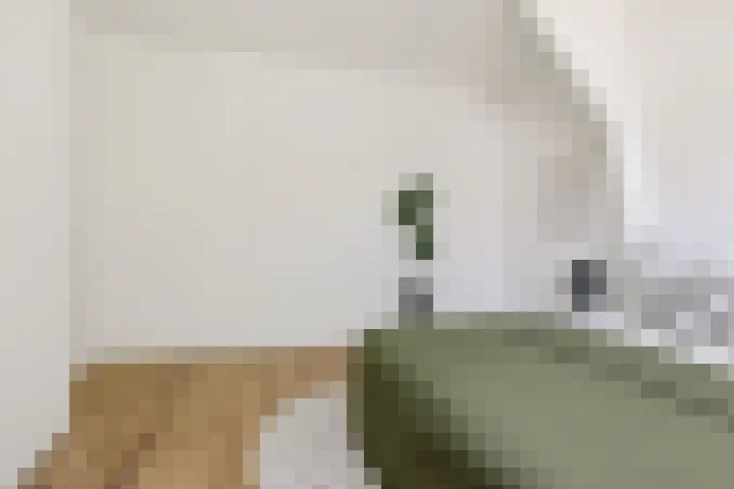Badhuislaan 26 Krommenie thumbnail 20
