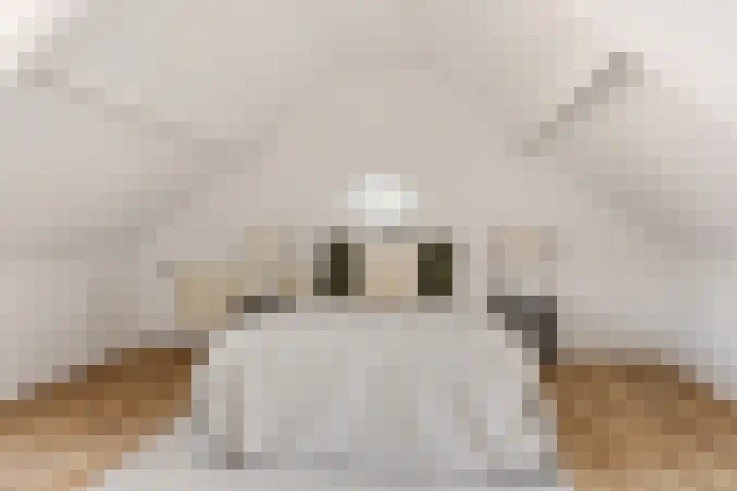 Badhuislaan 26 Krommenie thumbnail 25