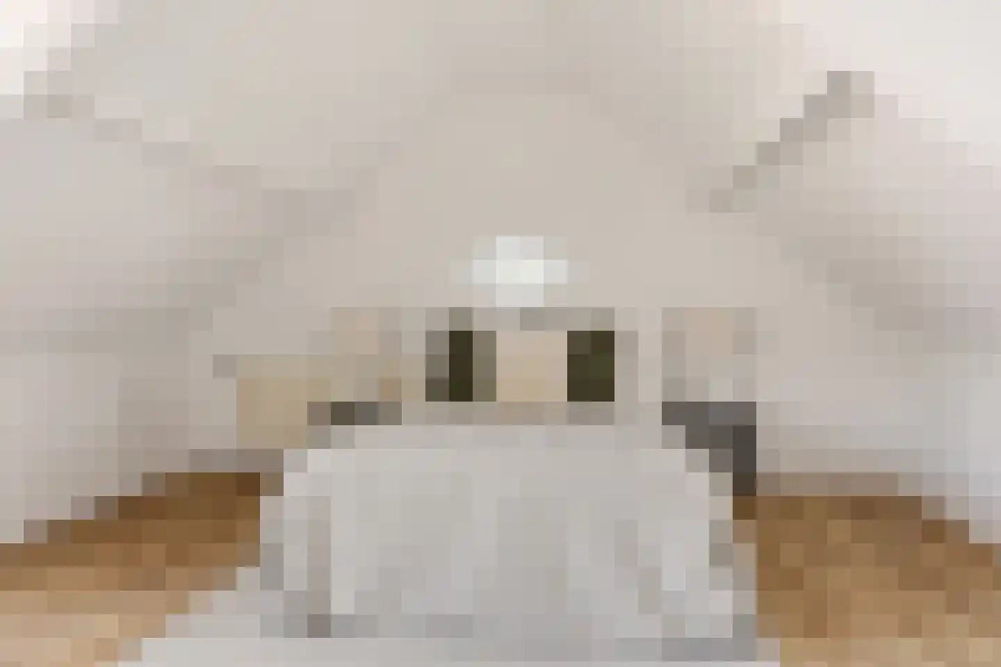 Badhuislaan 26 Krommenie thumbnail 25