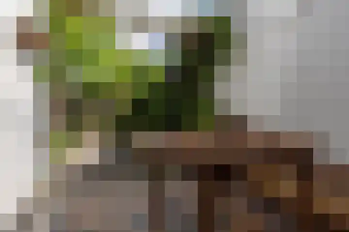 Badhuislaan 27 Bussum thumbnail 29