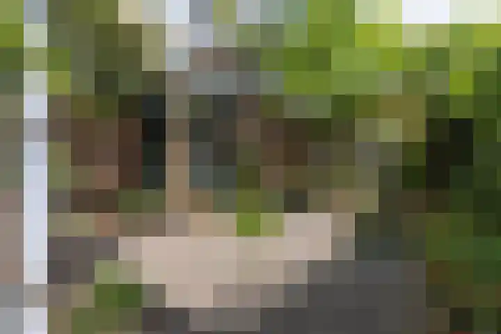 Badhuislaan 27 Bussum thumbnail 30