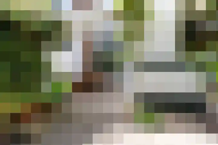 Badhuislaan 27 Bussum thumbnail 31