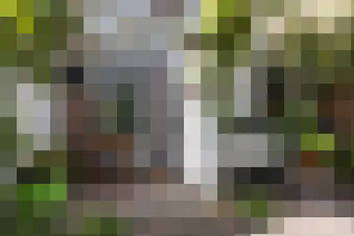 Badhuislaan 27 Bussum thumbnail 32