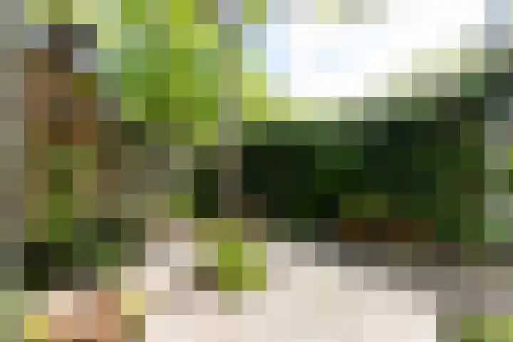 Badhuislaan 27 Bussum thumbnail 33