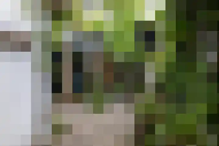 Badhuislaan 27 Bussum thumbnail 34