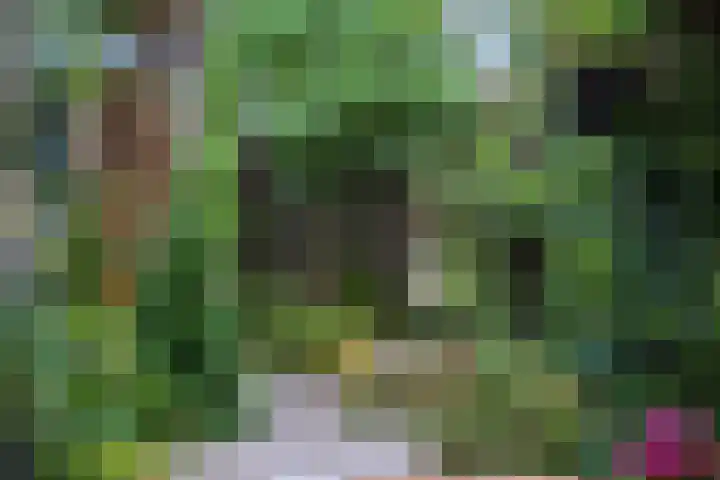 Badhuislaan 27 Bussum thumbnail 35