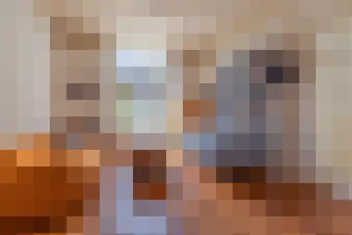 Badhuislaan 27 Bussum thumbnail 4