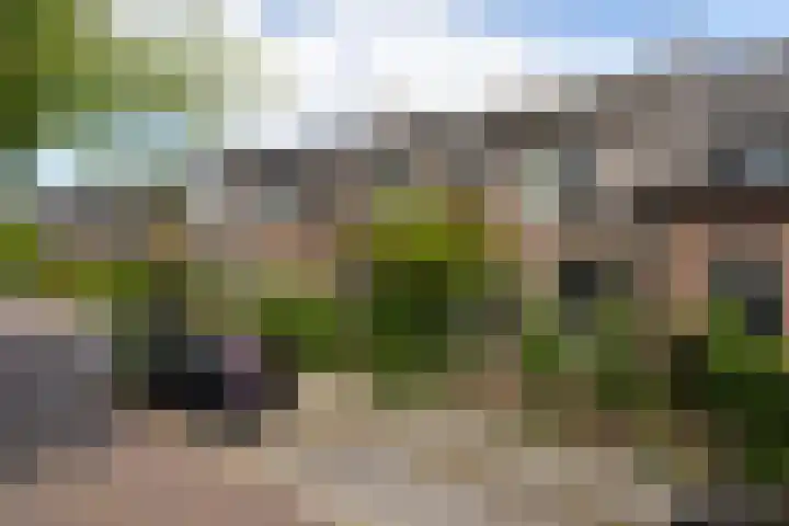Badhuislaan 27 Bussum thumbnail 42